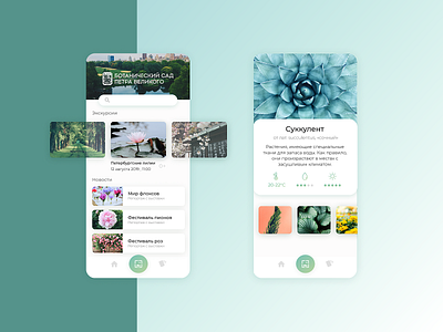 Plant App app design illustration interface ux