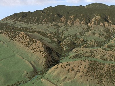 Black Bear Trail 3d cartography colorado conservation denver gis map maps parks