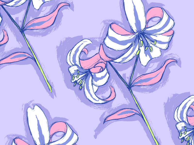 Tiger Lillies floral tiger lily illustration flower