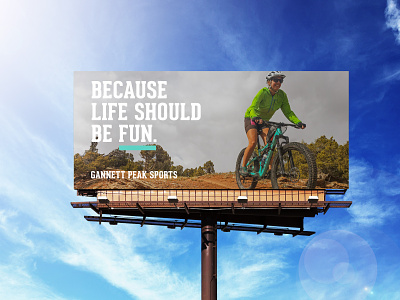 Billboard Design for Local Bike Shop bicycle bikeshop geared mountain bike print