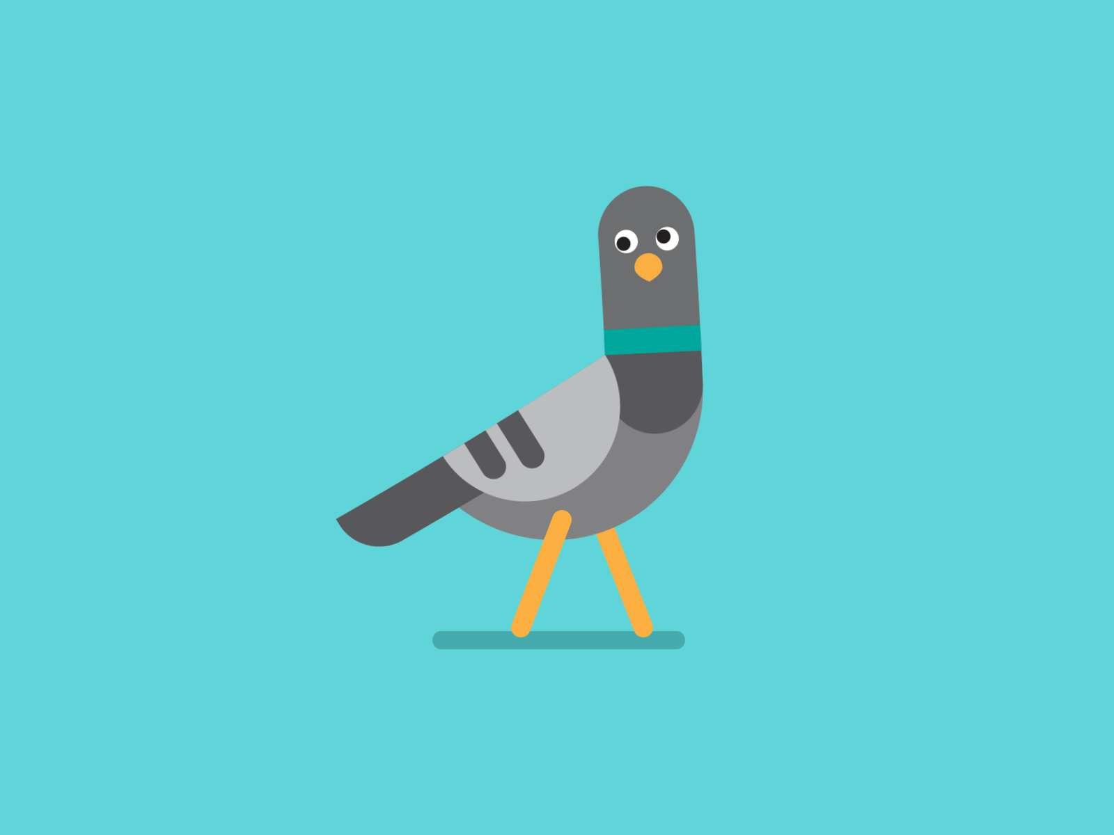 Weird Pigeon animation character detail flat flat vector illustration illustrator motion design motion graphic motion graphics pigeon vector walk cycle