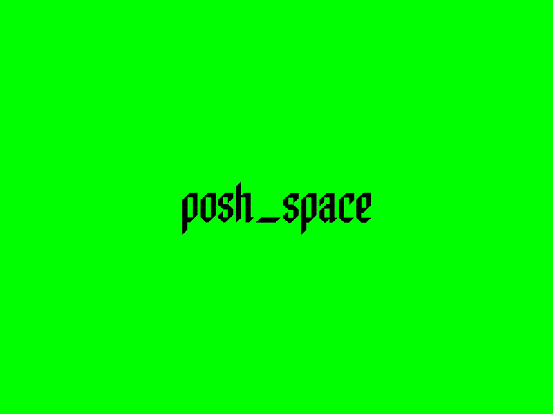 Posh Space branding fashion fashion houses identity jewelry brands logo space
