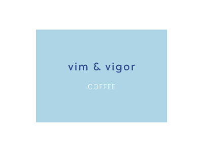 VIM AND VIGOR branding design logo logotype wordmark