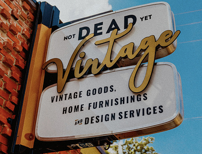 Not Dead Yet Vintage Signage branding design logo signage