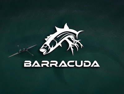 Barracuda logo design 2d abstract adobe illustrator branding design fish logo graphic design illustration logo logo design logo type minimal logo modern logo vector wordmark logo