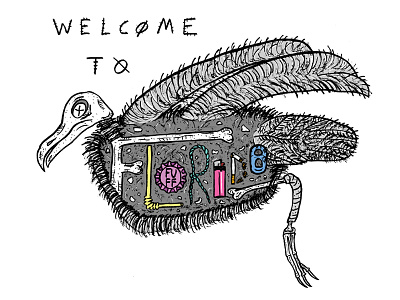 Welcome to Florida apparel bird design florida graphic design hand drawn illustration ink skeleton skull t shirt tee