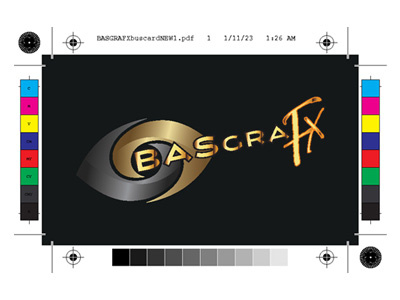BASGRAFXs Business Card - with Gold/Silver Vision LOGO (front)