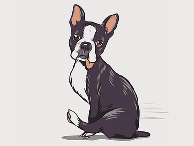 Scooter adobe draw boston terrier illustration