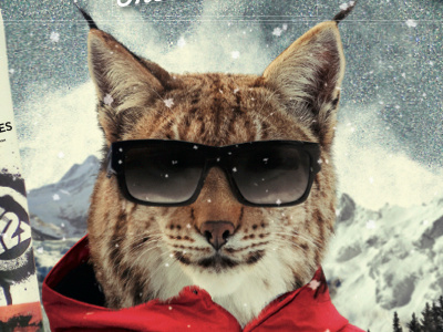 Swisscom Freeski Tour Flyer action cat k2 oneill raiffeisen samsung ski snow sport swisscom winter
