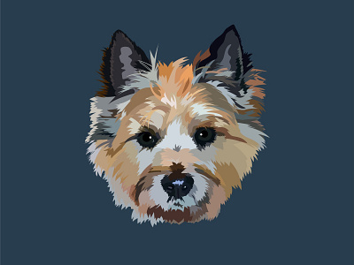 Rye the Cairn Terrier Portrait