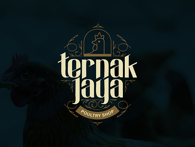 TERNAK JAYA LOGO adobe animal animal food branding chicken farm graphic design iqbal jaya kevin logo pakan ayam ternak ternak jaya vector