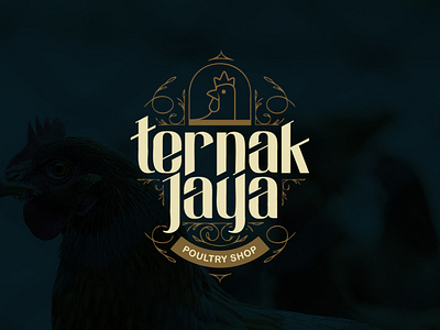 TERNAK JAYA LOGO adobe animal animal food branding chicken farm graphic design iqbal jaya kevin logo pakan ayam ternak ternak jaya vector