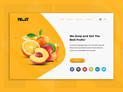 Fruits Banner designer99studio fruit and vegetables fruits banner latest ui organic food ui ui design user interface