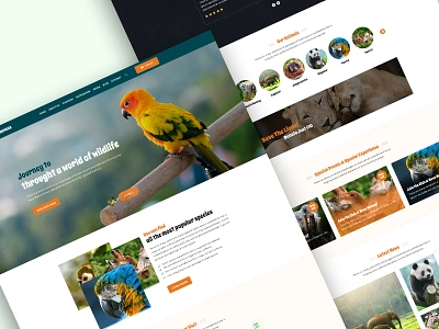 ZooPark Zoo & Safari Park web design animal aquarium cinema circus clean jungle museum park safari safari park safari world ui ux website wild wildlife wildlife zoo zoo zoo ticket