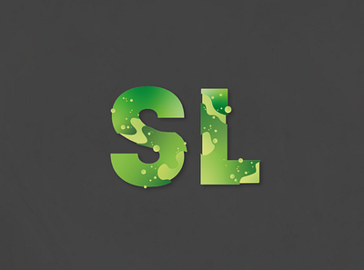 SNAPLAB - display font & logo branding logo typography vector
