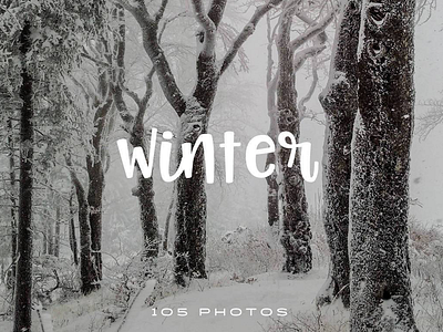 105 Free Public Domain Winter Stock Photos