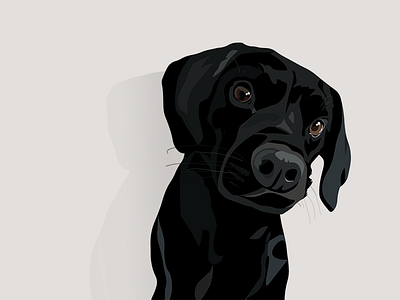 Paka black dog illustration simple