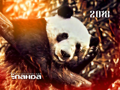Panda burnt by the Sun 2018 branding calendar design idea poster shapes sun vector