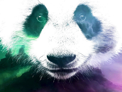 Cloudy Panda art branding cloud concept design double exposure illustration nature panda photoshop