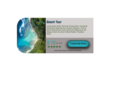 Tour Ticket graphic design ui