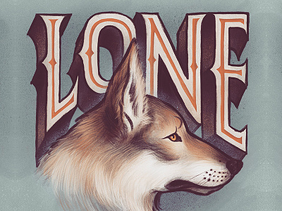 Lone Wolf animal blue lettering lone soft typography wild wolf wolves