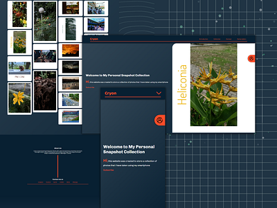 Cryon animation app beach branding collection css design flower html illustration javascript logo personal photography portfolio ui ux website