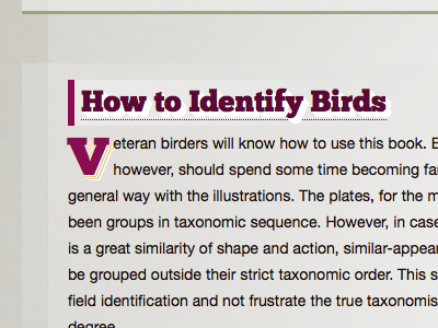 How to Identify Birds in progress pink typography white
