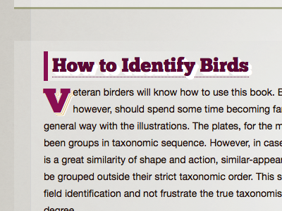 How to Identify Birds