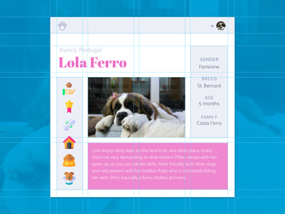 Social Network for Dogs — Profile profile web development web design web flexbox pet css grid grid social network interface ui