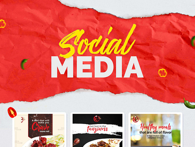 Kashmiri Kabab Social Media branding design graphic design posts social media posts design website design