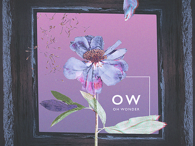 My First Shot, "Oh Wonder" Alternative Album Art album art album cover cover art first shot oh wonder