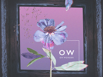 My First Shot, "Oh Wonder" Alternative Album Art