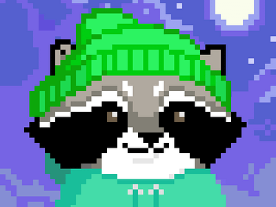 Chillin' Raccoon design graphic design illustration