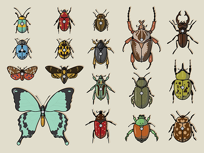 Insect Collection bromwell bugs illustration insects