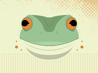 Frog animal flat frog fun illustration