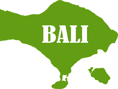Bali Island bali culture graphic design green indonesia