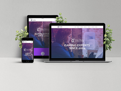 GLI Responsive Web Design design ui ux web design