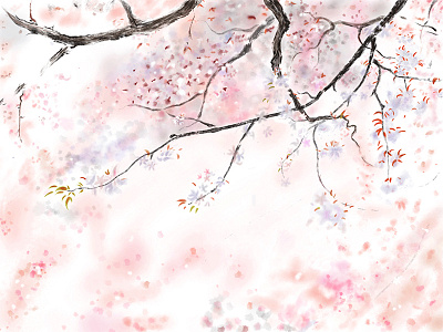 Sakura cartoon digital drawing flower graphic graphicdesign nature plant sakura sketch