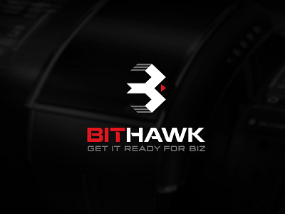 BitHawk Logo Design - V1