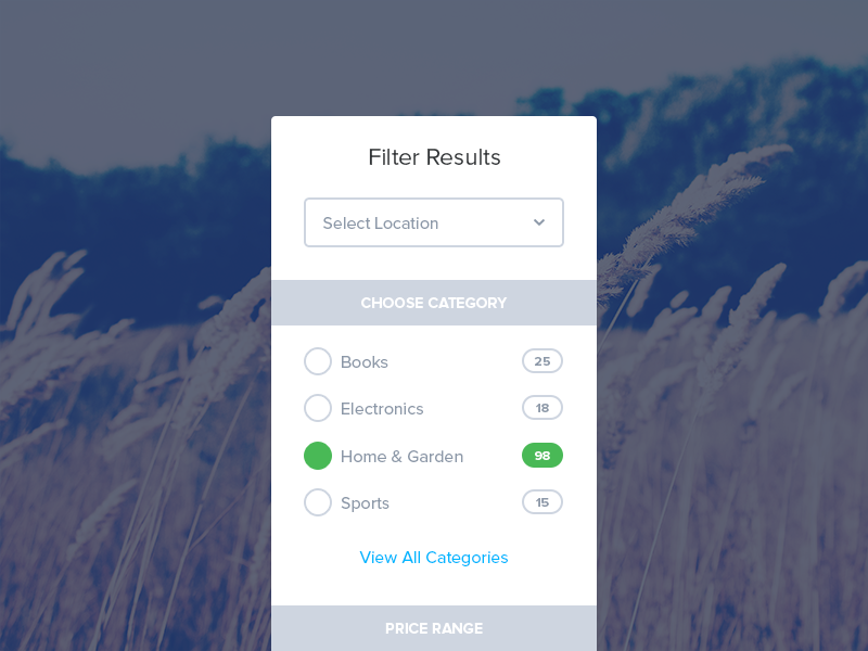 Filter Results by Ionut Zamfir on Dribbble
