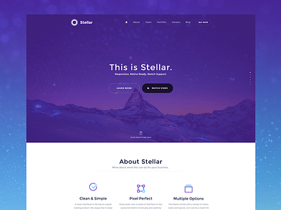 Stellar v2 for sale product theme ui user experience user interface ux web web design wordpress