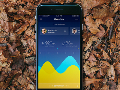 Overview app charts design fitness health ios lifestyle sketch sport template ui user interface