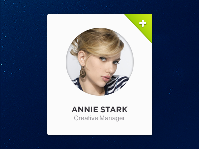 Profile widget