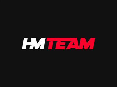 HMTEAM — Logo animation automotive blank brand identity branding branding agency branding studio construction corporate identity design design grid gradient hmteam identity lines logo animation logo design logo grid logo marks startup