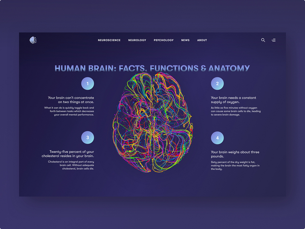 Human Brain designs, themes, templates and downloadable graphic ...