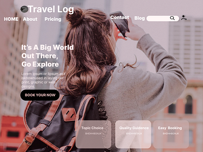 Travel Log graphic design ui