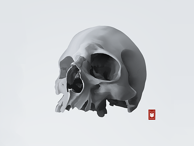 Skull illustration logo shimur skull skull art