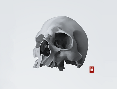 Skull illustration logo shimur skull skull art