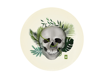 Skull illustration shimur skull