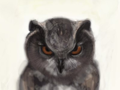 OWL digital illustrator owl